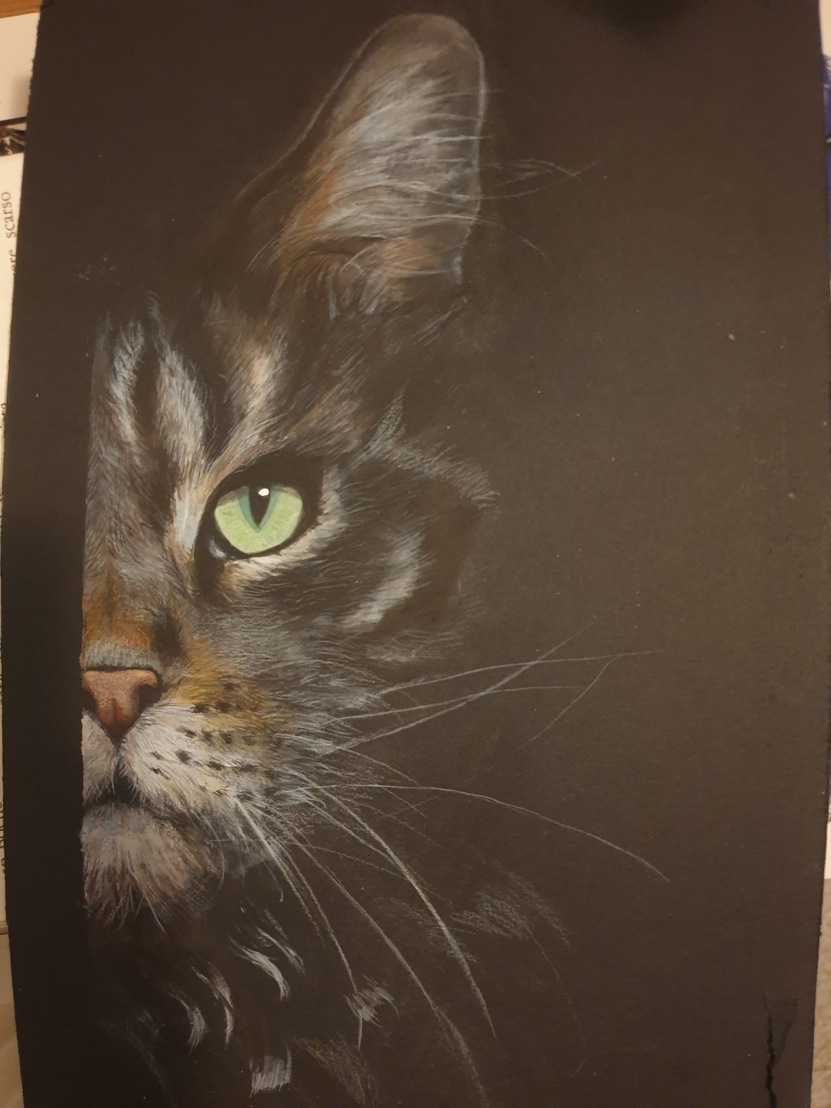 Concorso “Disegnare la natura” – seconda edizione, anno 2023, Gatto (matite colorate oppure penna a biro per le opere in bianco e nero), opera di Giuseppina Calligaro (Tarcento, Udine).