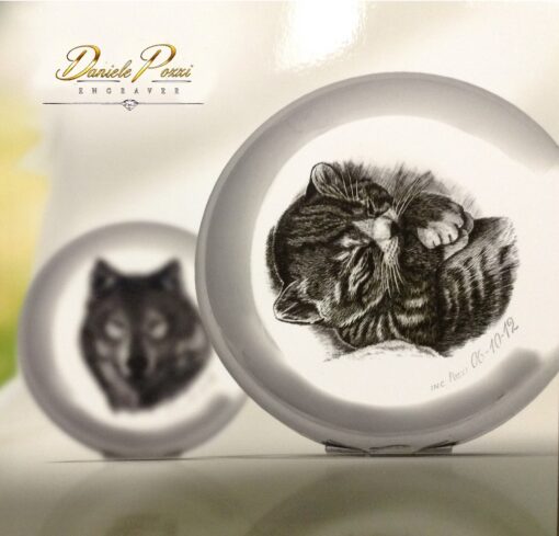 Concorso “Disegnare la natura” – terza edizione, anno 2024, Gattino, opera di Daniele Pozzi