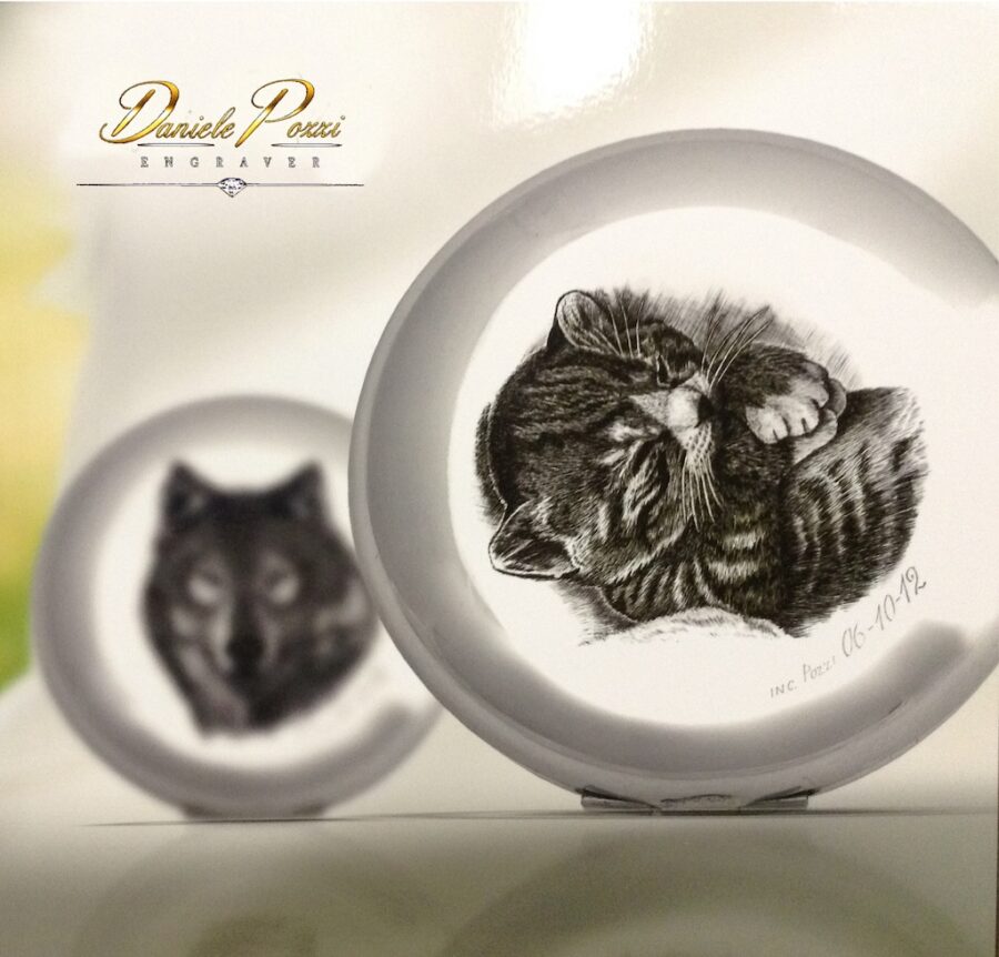 Concorso “Disegnare la natura” – terza edizione, anno 2024, Gattino, opera di Daniele Pozzi