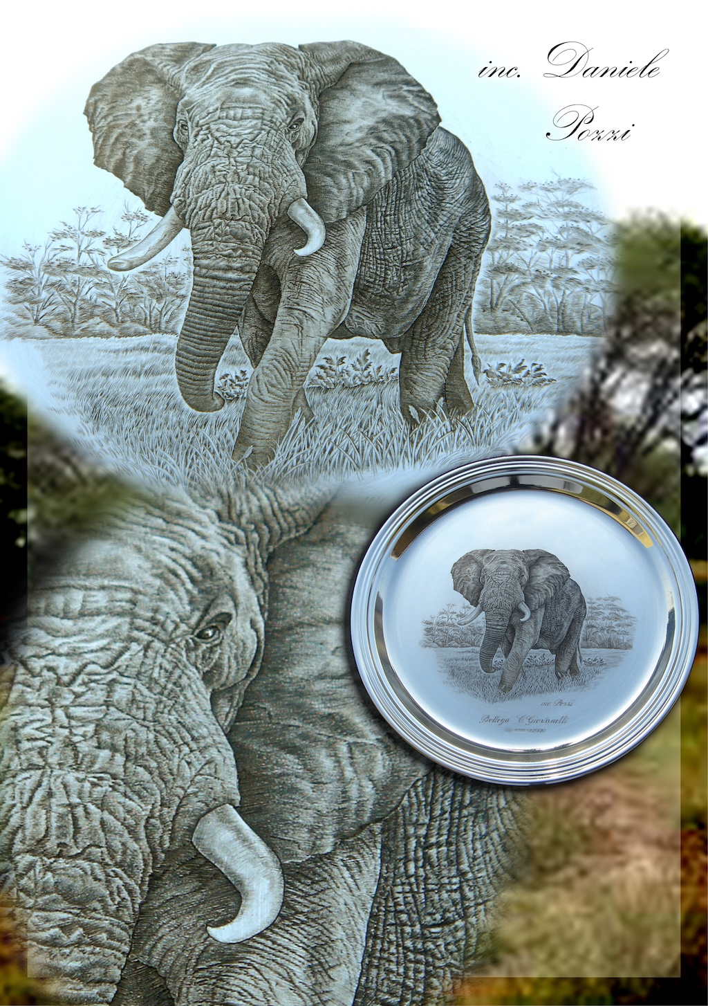 Concorso “Disegnare la natura” – terza edizione, anno 2024, Elefante, opera di Daniele Pozzi