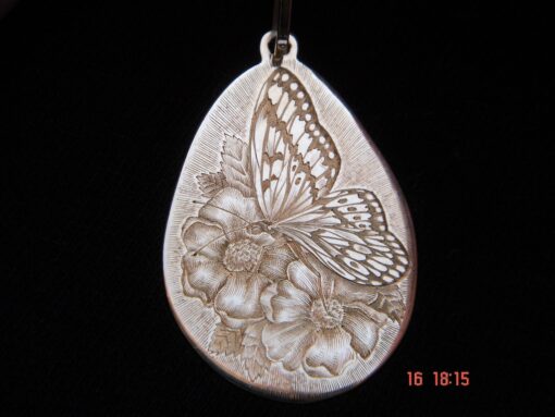 Concorso “Disegnare la natura” – terza edizione, anno 2024, Farfalla, opera di Daniele Pozzi